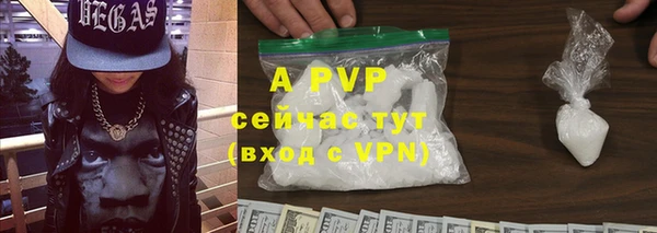 крисы Алексин