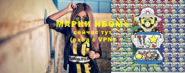 крисы Алексин
