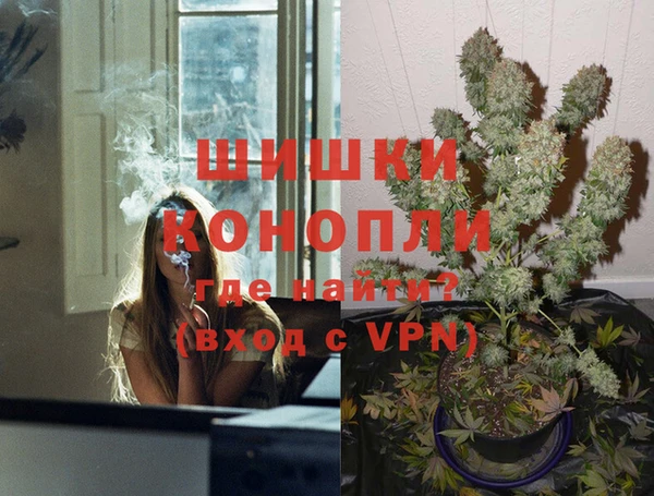 крисы Алексин