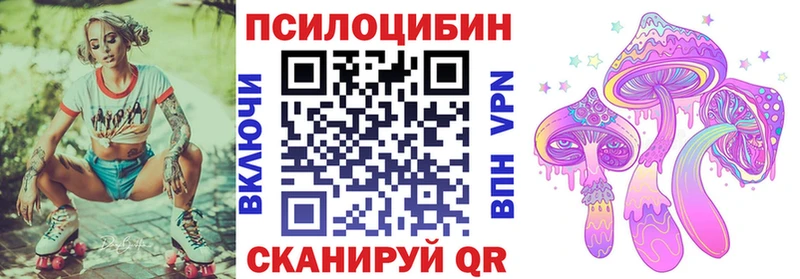 купить наркотик  Новосиль  hydra онион  Галлюциногенные грибы Psilocybine cubensis 